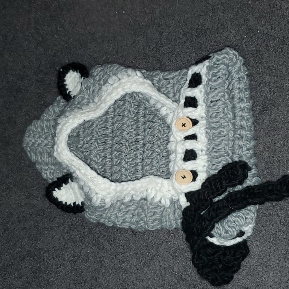 Crocheted Animal Hat - Picture 3 of 4